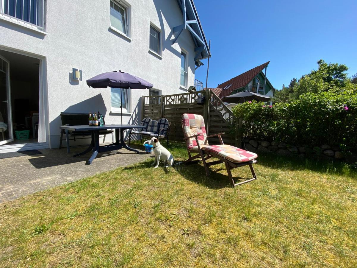 Duenenresidenz Karlshagen - Ferienwohnung Ginsterweg 외부 사진