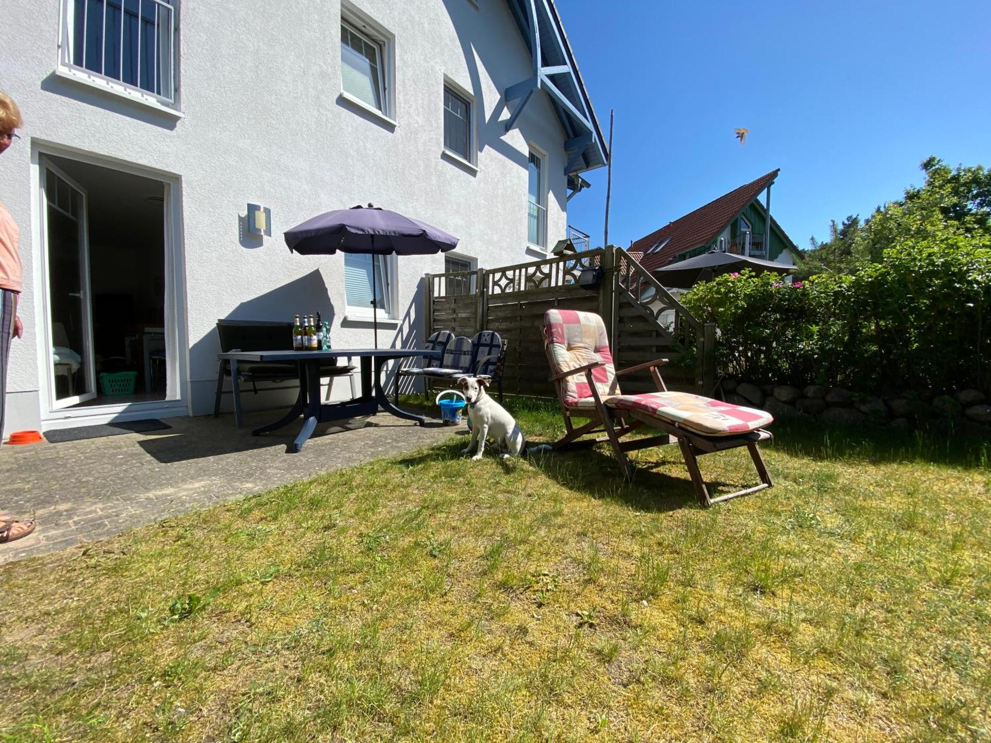 Duenenresidenz Karlshagen - Ferienwohnung Ginsterweg 외부 사진