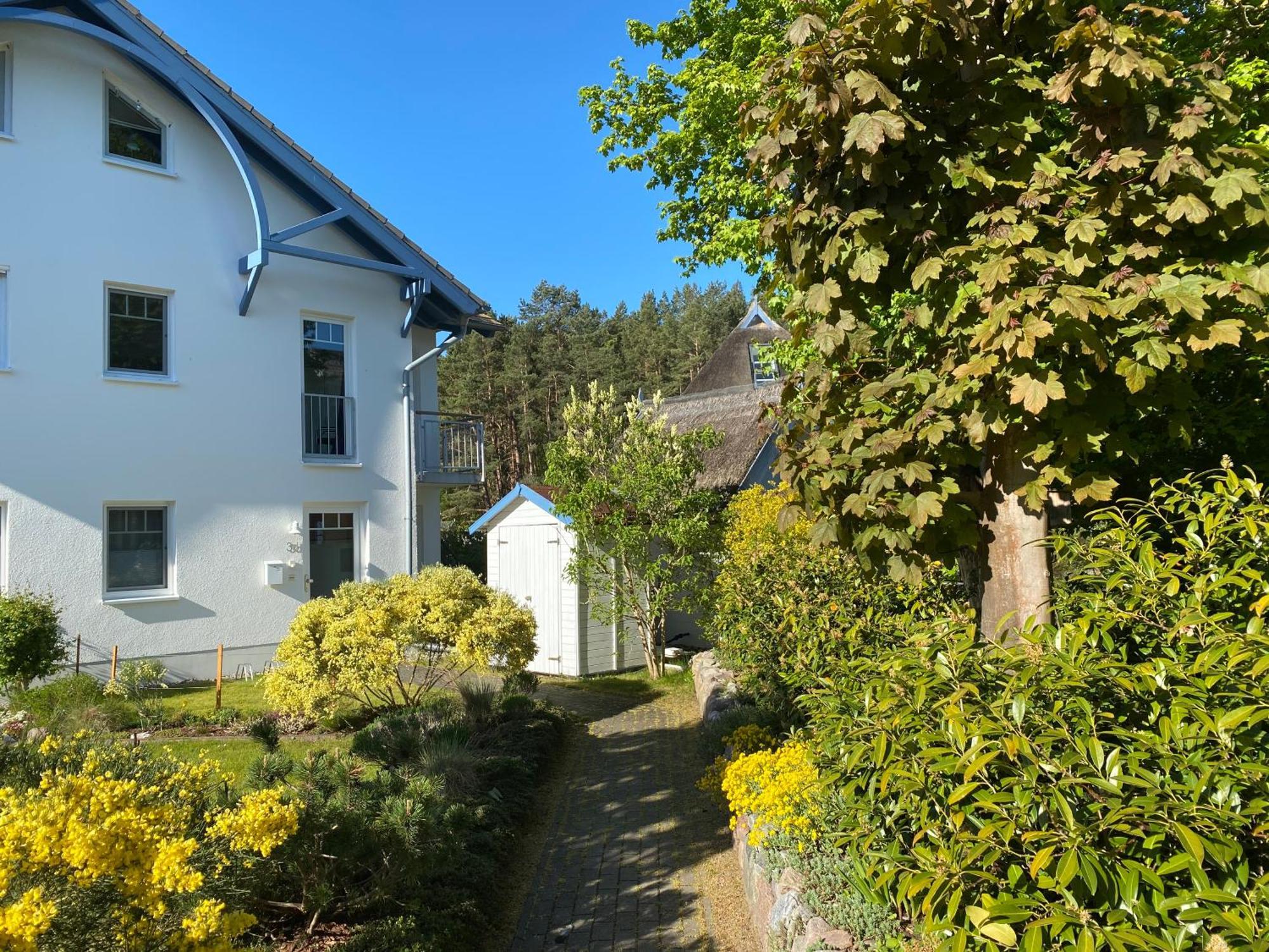 Duenenresidenz Karlshagen - Ferienwohnung Ginsterweg 외부 사진